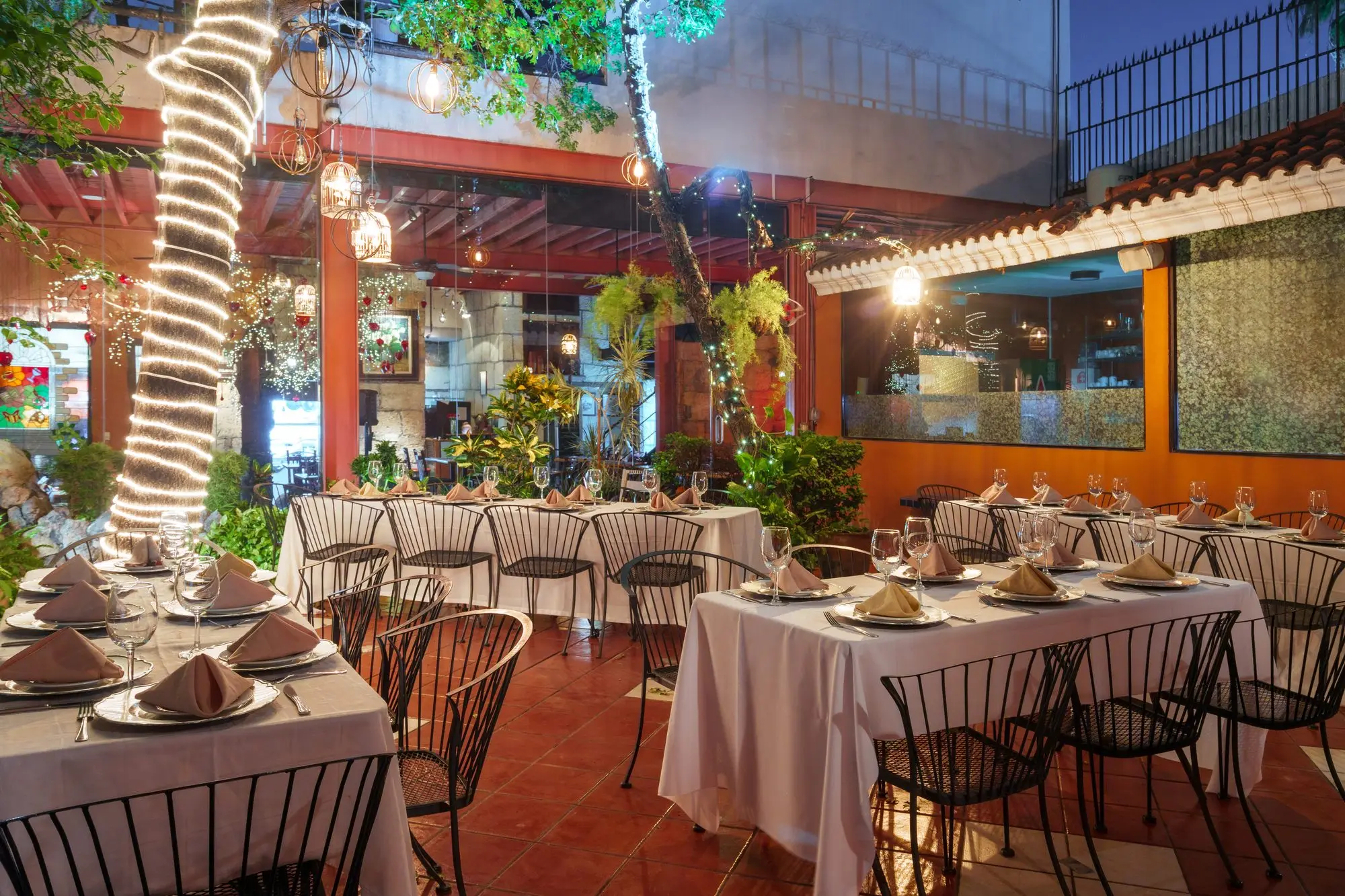El Jardín completo, con las mesas montadas alrededor del árbol