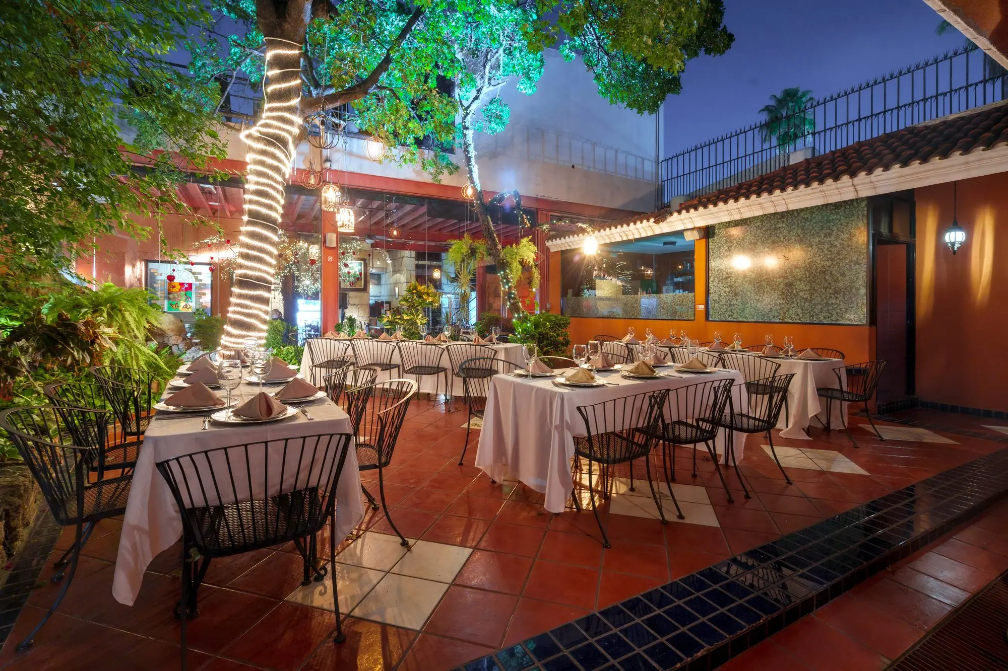 Las mesas del Jardín al anochecer, bajo el árbol iluminado