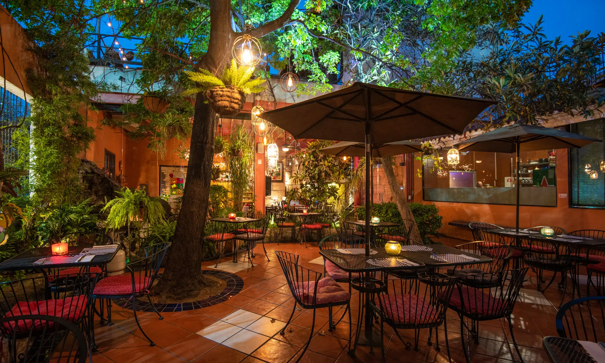 El jardín al anochecer, con las jaulas de luz encendidas