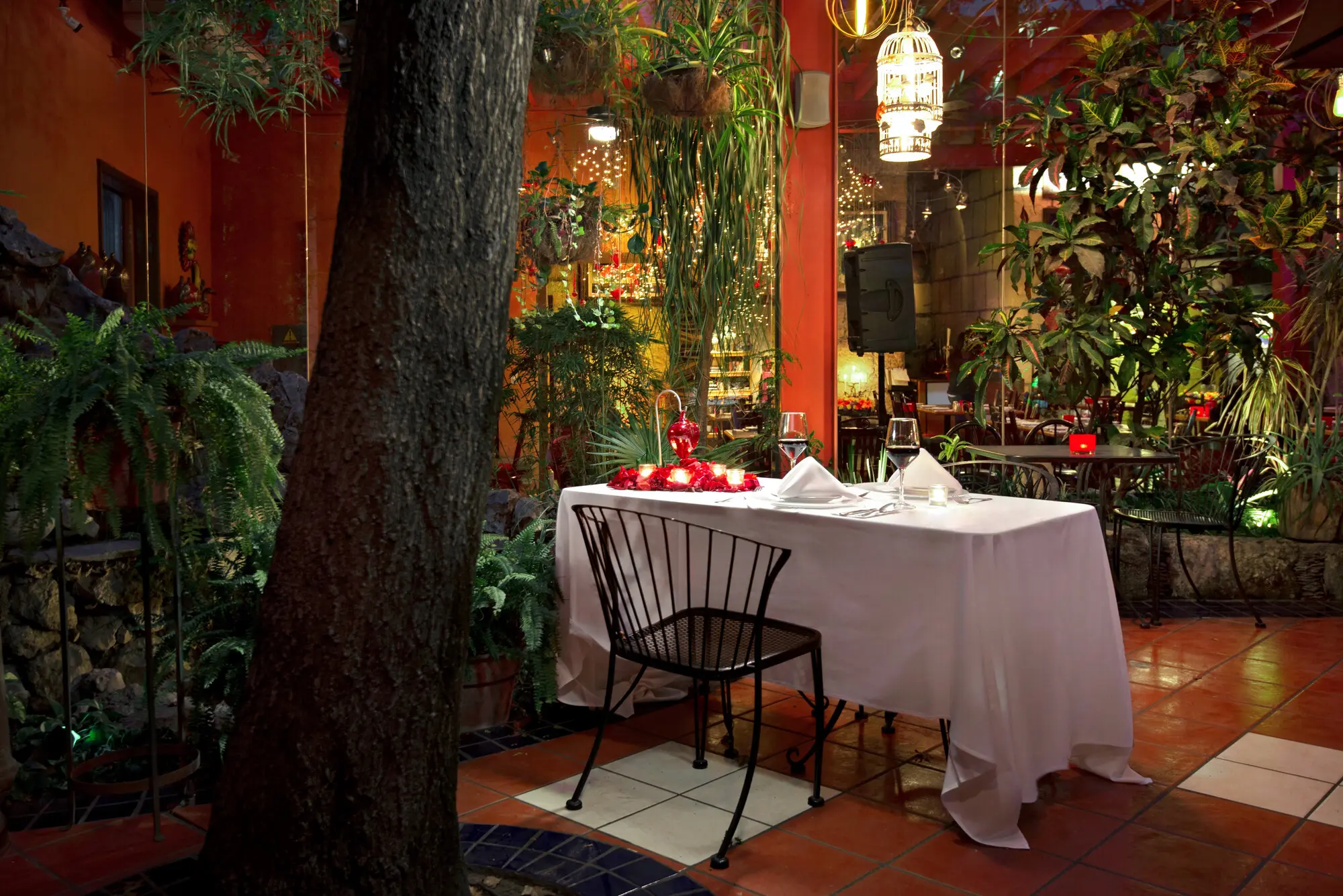 Mesa para dos bajo el árbol del jardín, con velas y pétalos