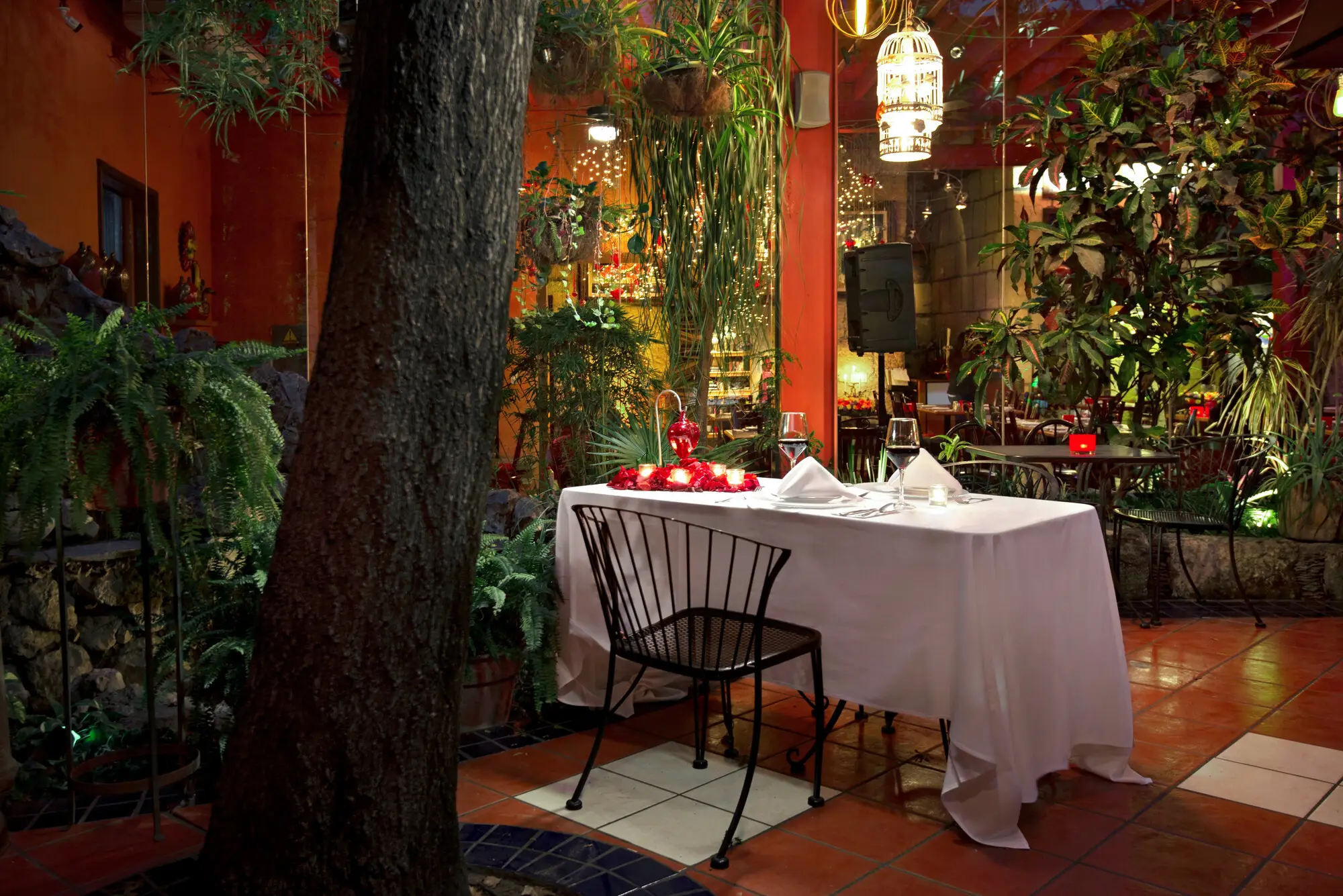 Mesa para dos bajo el árbol del jardín, con velas y pétalos